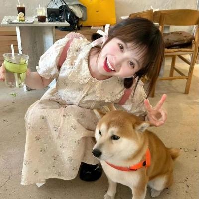 虎尾兰之梦